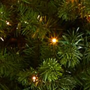 Colorado Mountain Spruce Christmas Tree