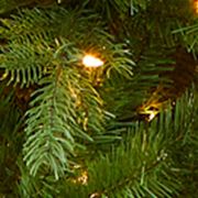 Vienna Fir Christmas Tree