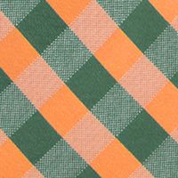 NCAA Miami Hurricanes Check Tie