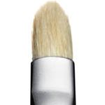 219S Pencil Brush