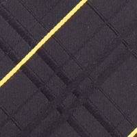 NCAA Missouri Tigers Oxford Woven Tie