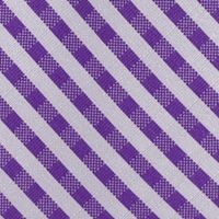 NCAA TCU Horned Frogs Gingham Tie