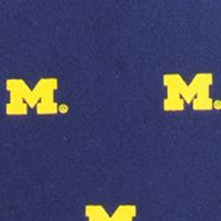 NCAA Michigan Wolverines Prep Tie