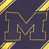 Michigan Wolverines Woven Poly 1 Tie