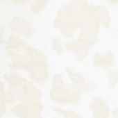 Tan Leopard