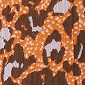 Speckled Cheetah