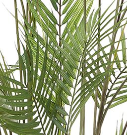 Traditional Faux Foliage Artificial Plant