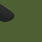 Black/Polarized Green