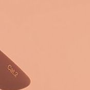 Pink/Orange