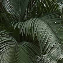 Cycas Artificial Tree