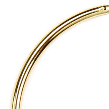 Gold-Tone Hoop Earrings