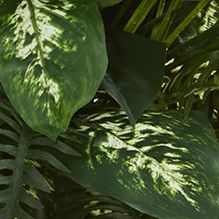 Mixed River Fern and Dogtail Artificial Plant