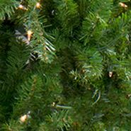 10' Pre-Lit Everett Pine Slim Artificial Christmas Tree  Clear Lights