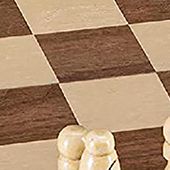 2-in-1 Checkers and Chess Board Game Set