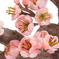 Cherry Blossom Bonsai Silk Tree