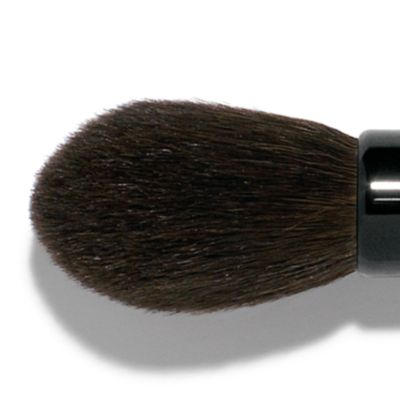 Powder Brush