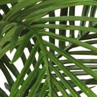 56-Inch Areca Palm Silk Tree with Basket