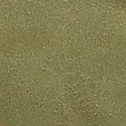 Rosemary Smooth Green