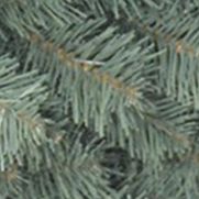 Inch Blue Spruce Wreath