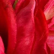 Cerise