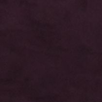 Aubergine