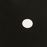 BLACK/LILY WHITE