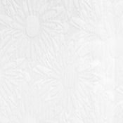 Natural White
