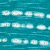 Turquoise Stripe