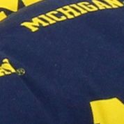 NCAA Michigan Wolverines D Cushion