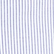 Seersucker Stripe Sport Coat