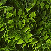 Lush Mediterranean Fern Wall Panel Indoor/Outdoor