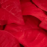 Poinsettia With Decorative Vase Silk Arrangement