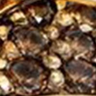Chocolatier® 5/8 ct. t.w. Chocolate Diamonds® and 3/8 ct. t.w. Vanilla Diamonds® Ring in 14k Honey Gold™