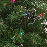 6' Pre-Lit Wilson Pine Slim Artificial Christmas Tree  Multi Lights