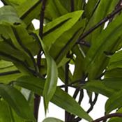 Bamboo Silk Tree with Planter