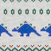 Boys 8-20 Fair Isle Dinosaur Printed Set