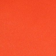 Florida Team Color