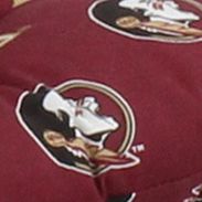 NCAA Florida State Seminoles D Cushion