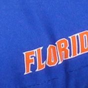 NCAA Florida Gators D Cushion