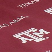 NCAA Texas A&M Aggies 2 Piece Chair Cushion