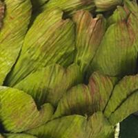 Artichoke and Hydrangea Silk Flower Arrangement