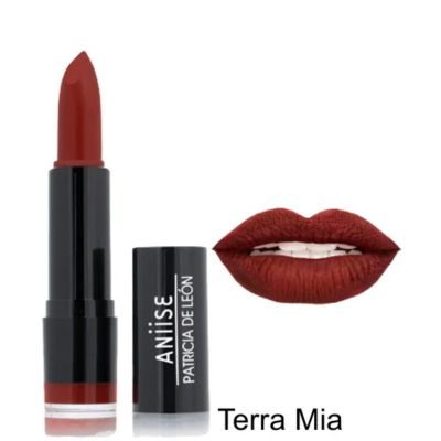 Aniise Pro Matte Lipsticks In 14 Shades, 04 Terra Mia