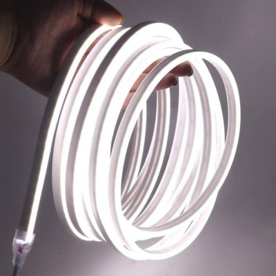 Kitcheniva 12-Volt Flexible Led Strip Neon Lights Silicone Tube 5-Meters White