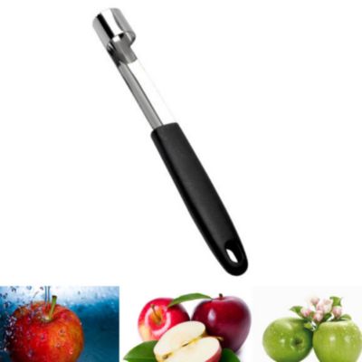 Kitcheniva Stainless Steel Fruit Apple Enucleated Core Picker