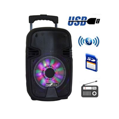 Befree Sound 8 Inch 400 Watts Bluetooth Portable Party Speaker With Usb, Sd Input And Reactive Lights