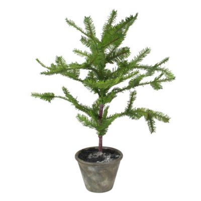 Allstate 22"" Green Artificial Mini Pine Tree In Paper Mache Pot