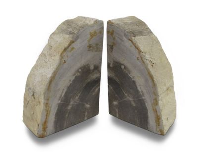 Zeckos Petrified Wood Indonesian Fossilized Palmwood Bookends 6-8 Pounds