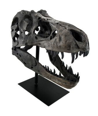 Zeckos Gray Finished Tyrannosaurus Rex Fossil Skull Statue On Museum Mount T-Rex