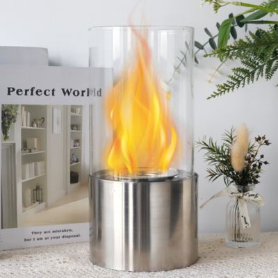 Jhy Design 10"" H Portable Clean Burning Bio Ethanol Ventless Tabletop Fireplace Fire Pit In Silver