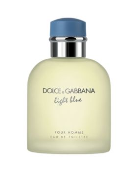 Dolce & Gabbana Light Blue Pour Homme Eau de Toilette | belk